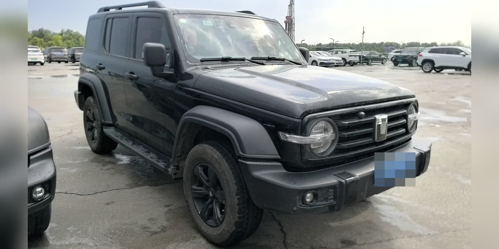 2023 Tank 300 2.0T Automatic 4WD Off-road Conqueror